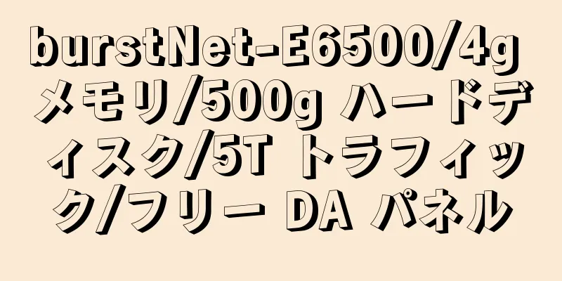 burstNet-E6500/4g メモリ/500g ハードディスク/5T トラフィック/フリー DA パネル