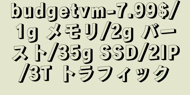 budgetvm-7.99$/1g メモリ/2g バースト/35g SSD/2IP/3T トラフィック