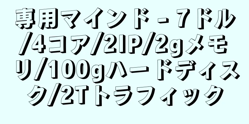 専用マインド - 7ドル/4コア/2IP/2gメモリ/100gハードディスク/2Tトラフィック