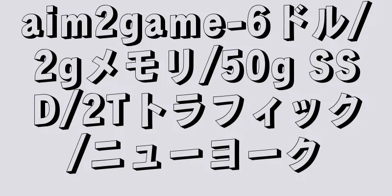 aim2game-6ドル/2gメモリ/50g SSD/2Tトラフィック/ニューヨーク