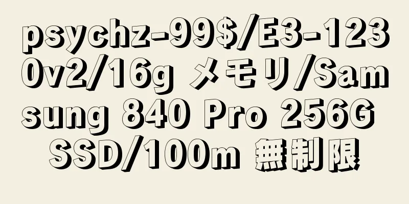 psychz-99$/E3-1230v2/16g メモリ/Samsung 840 Pro 256G SSD/100m 無制限