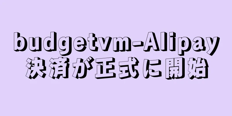 budgetvm-Alipay決済が正式に開始