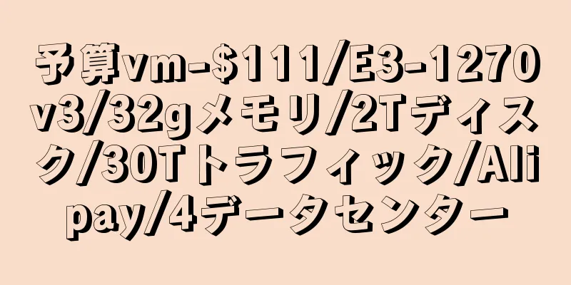 予算vm-$111/E3-1270v3/32gメモリ/2Tディスク/30Tトラフィック/Alipay/4データセンター