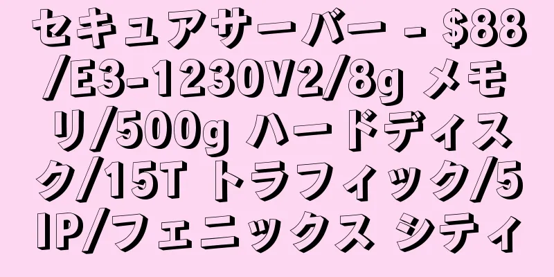 セキュアサーバー - $88/E3-1230V2/8g メモリ/500g ハードディスク/15T トラフィック/5IP/フェニックス シティ