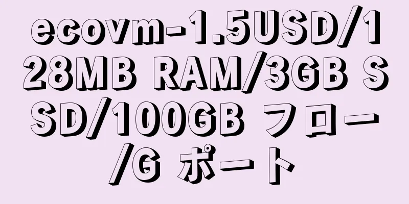 ecovm-1.5USD/128MB RAM/3GB SSD/100GB フロー/G ポート