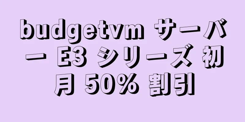 budgetvm サーバー E3 シリーズ 初月 50% 割引