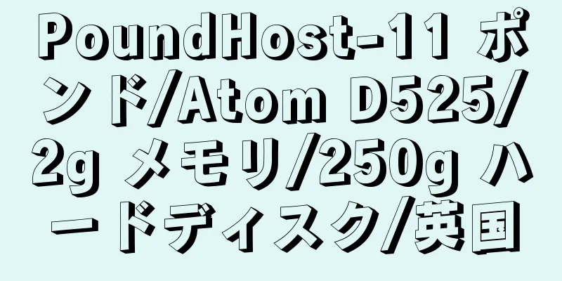 PoundHost-11 ポンド/Atom D525/2g メモリ/250g ハードディスク/英国