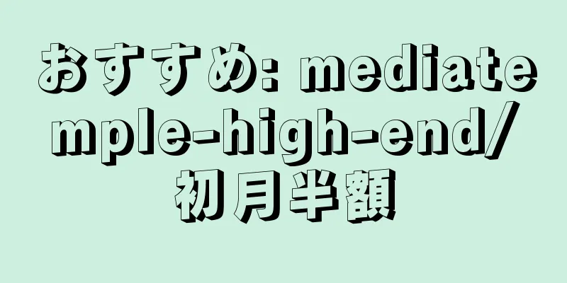 おすすめ: mediatemple-high-end/初月半額