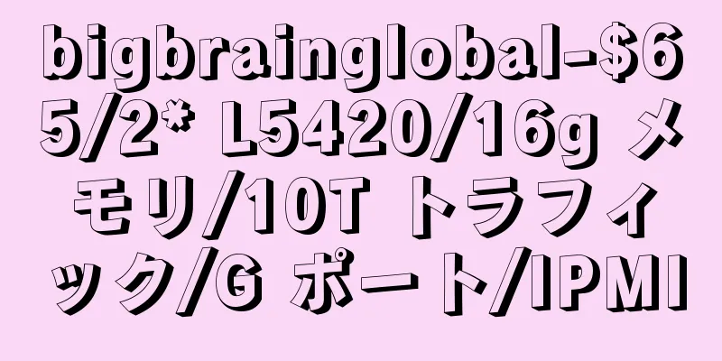 bigbrainglobal-$65/2* L5420/16g メモリ/10T トラフィック/G ポート/IPMI