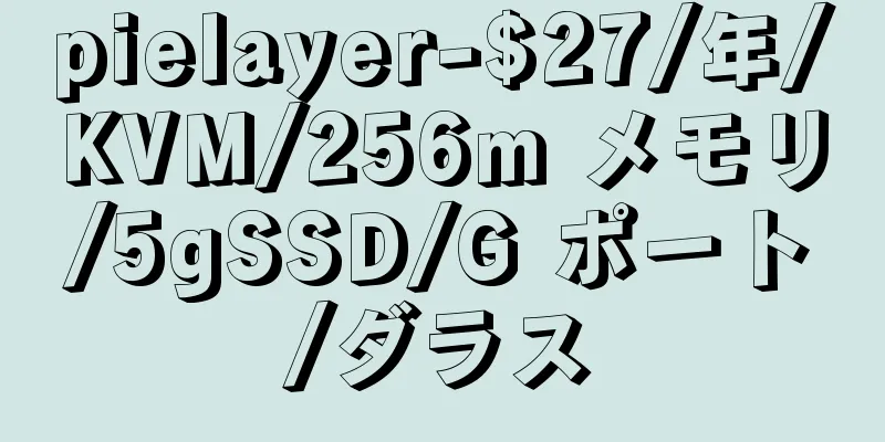 pielayer-$27/年/KVM/256m メモリ/5gSSD/G ポート/ダラス