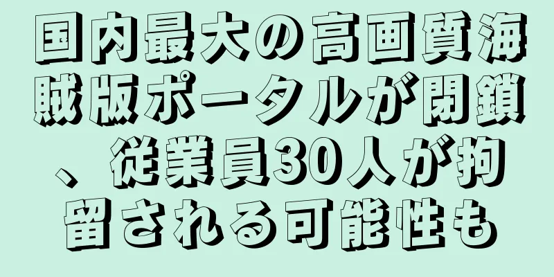 国内最大の高画質海賊版ポータルが閉鎖、従業員30人が拘留される可能性も