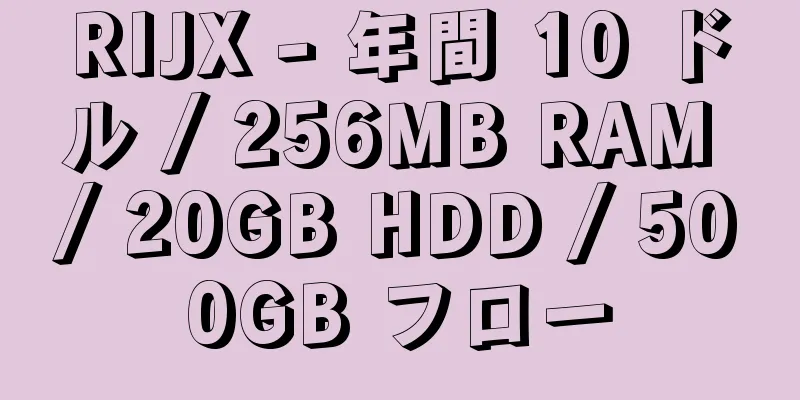 RIJX - 年間 10 ドル / 256MB RAM / 20GB HDD / 500GB フロー