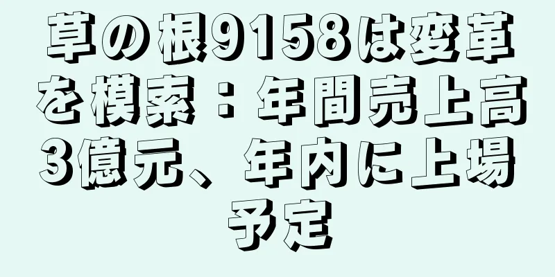 草の根9158は変革を模索：年間売上高3億元、年内に上場予定