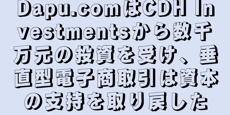 Dapu.comはCDH Investmentsから数千万元の投資を受け、垂直型電子商取引は資本の支持を取り戻した
