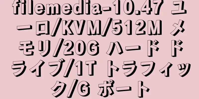 filemedia-10.47 ユーロ/KVM/512M メモリ/20G ハード ドライブ/1T トラフィック/G ポート