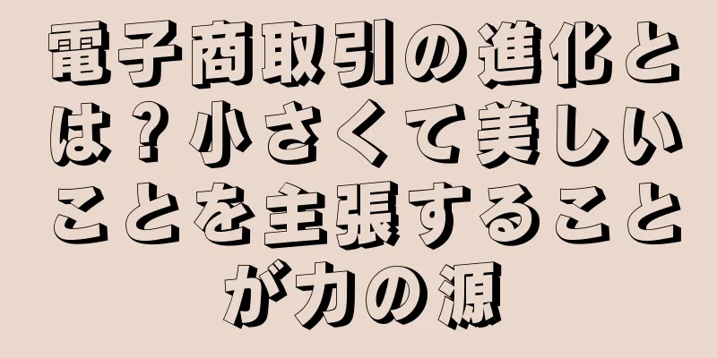 電子商取引の進化とは？小さくて美しいことを主張することが力の源