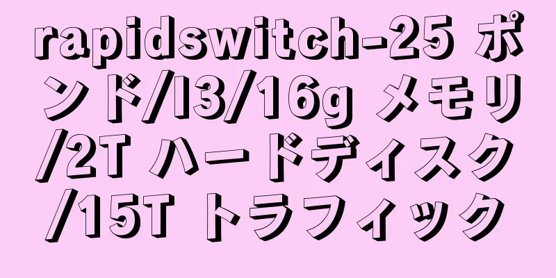 rapidswitch-25 ポンド/I3/16g メモリ/2T ハードディスク/15T トラフィック