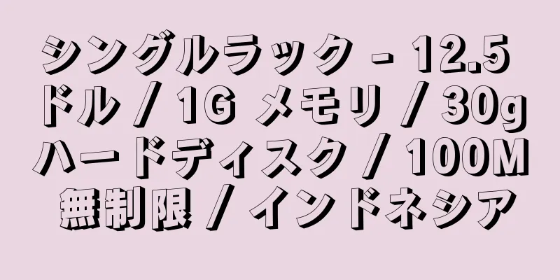 シングルラック - 12.5 ドル / 1G メモリ / 30g ハードディスク / 100M 無制限 / インドネシア
