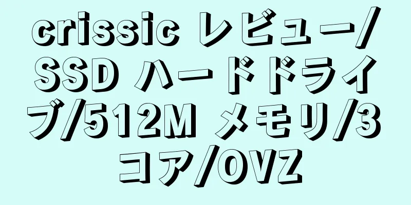 crissic レビュー/SSD ハードドライブ/512M メモリ/3 コア/OVZ