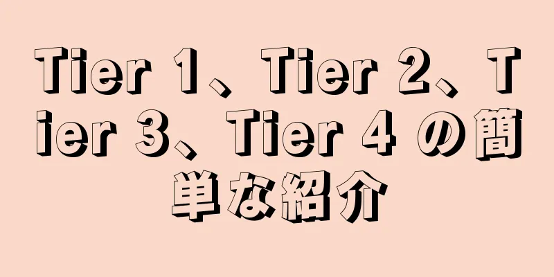 Tier 1、Tier 2、Tier 3、Tier 4 の簡単な紹介