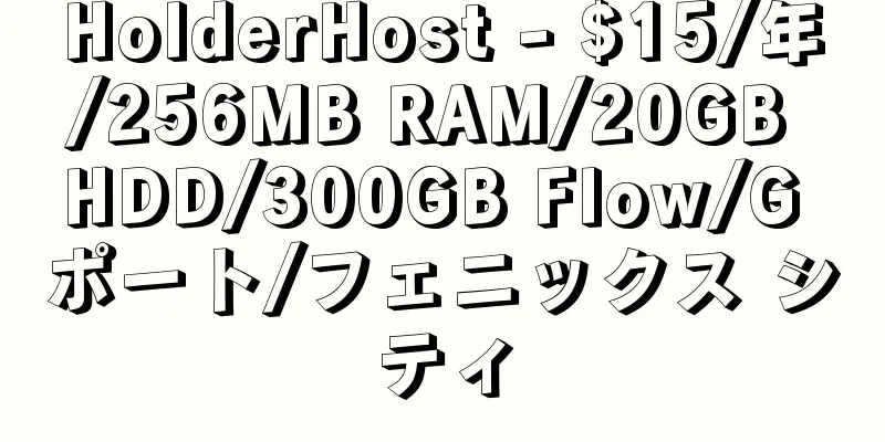 HolderHost - $15/年/256MB RAM/20GB HDD/300GB Flow/G ポート/フェニックス シティ