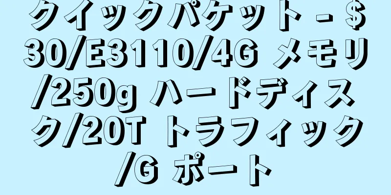 クイックパケット - $30/E3110/4G メモリ/250g ハードディスク/20T トラフィック/G ポート