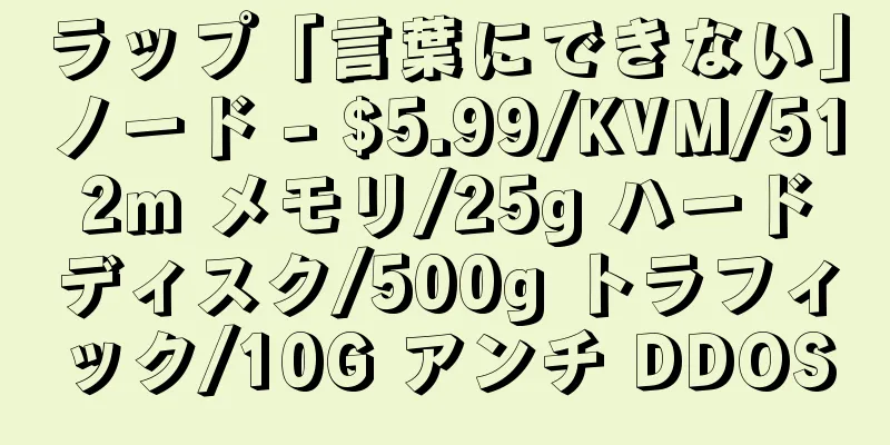 ラップ「言葉にできない」ノード - $5.99/KVM/512m メモリ/25g ハードディスク/500g トラフィック/10G アンチ DDOS