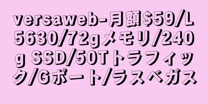 versaweb-月額$59/L5630/72gメモリ/240g SSD/50Tトラフィック/Gポート/ラスベガス