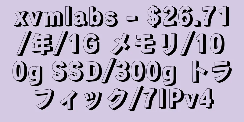 xvmlabs - $26.71/年/1G メモリ/100g SSD/300g トラフィック/7IPv4