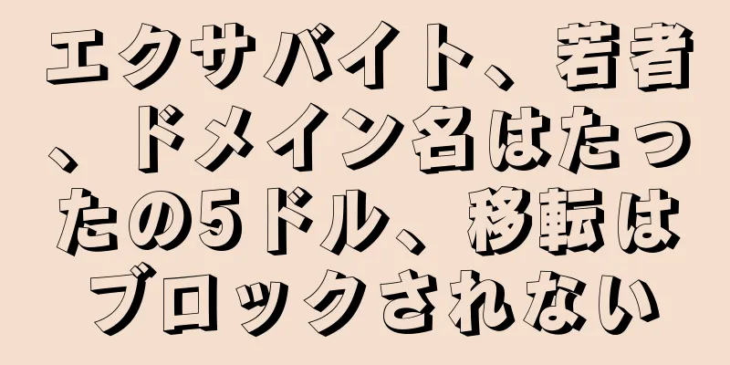 エクサバイト、若者、ドメイン名はたったの5ドル、移転はブロックされない