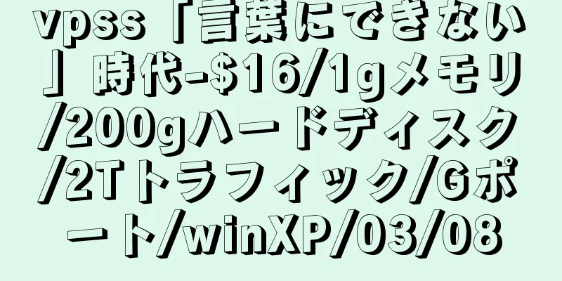 vpss「言葉にできない」時代-$16/1gメモリ/200gハードディスク/2Tトラフィック/Gポート/winXP/03/08
