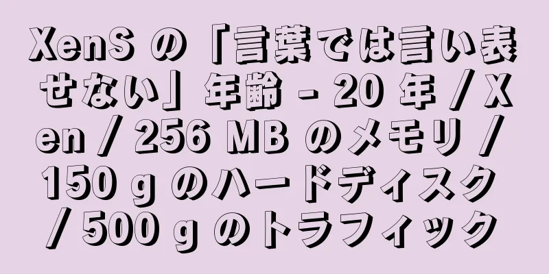 XenS の「言葉では言い表せない」年齢 - 20 年 / Xen / 256 MB のメモリ / 150 g のハードディスク / 500 g のトラフィック