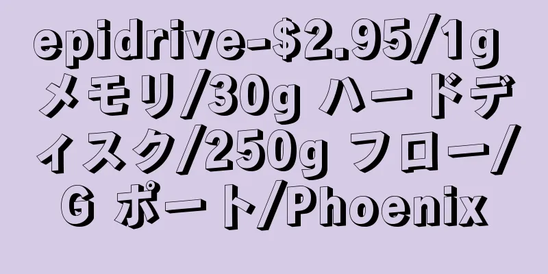 epidrive-$2.95/1g メモリ/30g ハードディスク/250g フロー/G ポート/Phoenix