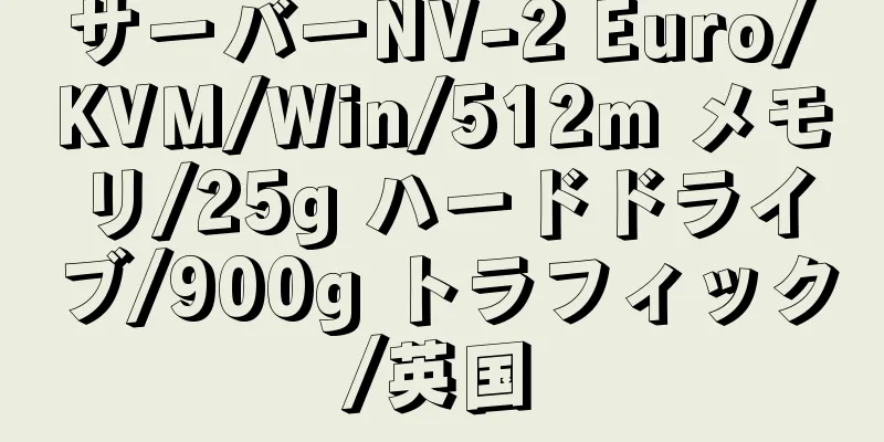 サーバーNV-2 Euro/KVM/Win/512m メモリ/25g ハードドライブ/900g トラフィック/英国