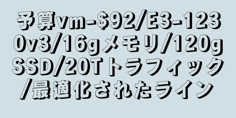 予算vm-$92/E3-1230v3/16gメモリ/120gSSD/20Tトラフィック/最適化されたライン