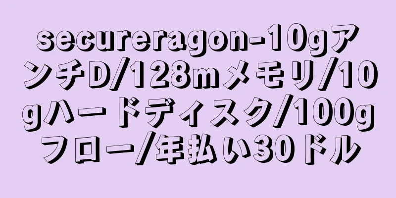 secureragon-10gアンチD/128mメモリ/10gハードディスク/100gフロー/年払い30ドル