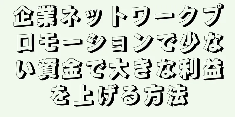 企業ネットワークプロモーションで少ない資金で大きな利益を上げる方法