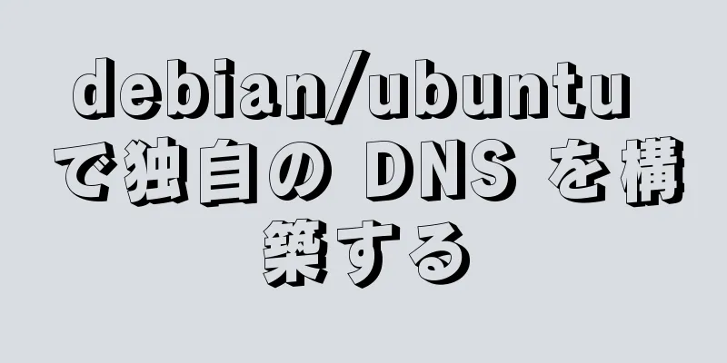 debian/ubuntu で独自の DNS を構築する