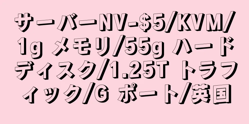 サーバーNV-$5/KVM/1g メモリ/55g ハードディスク/1.25T トラフィック/G ポート/英国