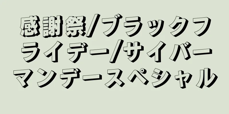 感謝祭/ブラックフライデー/サイバーマンデースペシャル