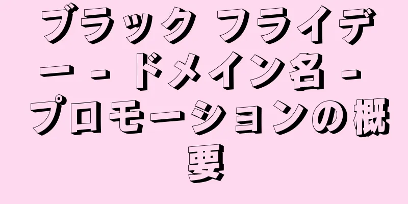 ブラック フライデー - ドメイン名 - プロモーションの概要