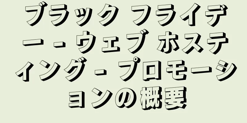 ブラック フライデー - ウェブ ホスティング - プロモーションの概要