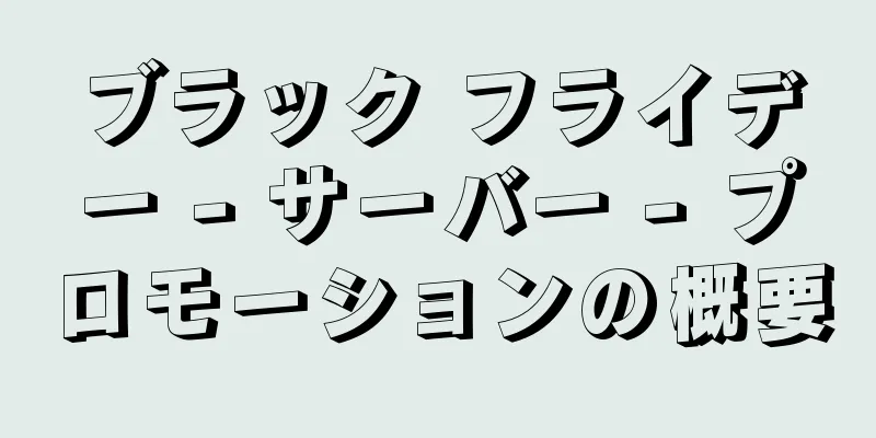 ブラック フライデー - サーバー - プロモーションの概要