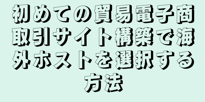 初めての貿易電子商取引サイト構築で海外ホストを選択する方法