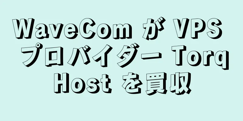 WaveCom が VPS プロバイダー TorqHost を買収