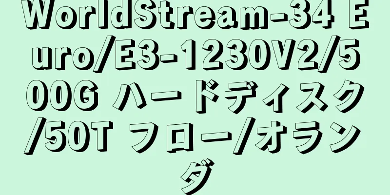 WorldStream-34 Euro/E3-1230V2/500G ハードディスク/50T フロー/オランダ