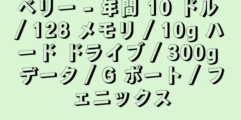 ベリー - 年間 10 ドル / 128 メモリ / 10g ハード ドライブ / 300g データ / G ポート / フェニックス