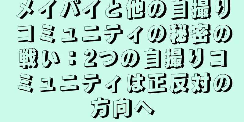 メイパイと他の自撮りコミュニティの秘密の戦い：2つの自撮りコミュニティは正反対の方向へ