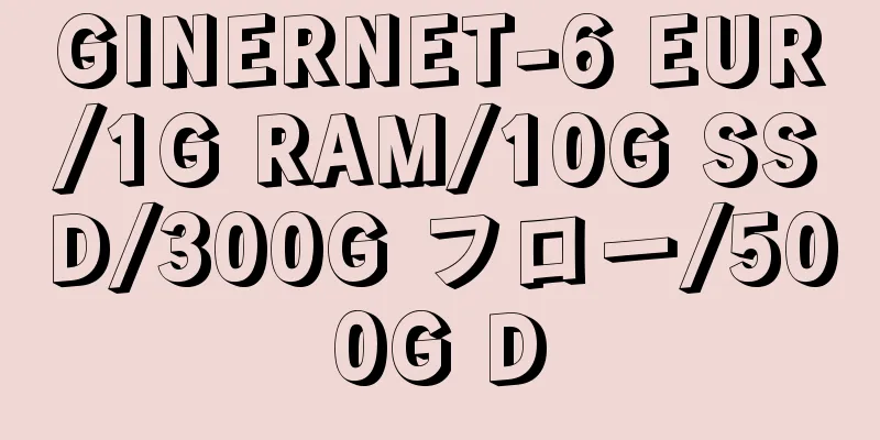 GINERNET-6 EUR/1G RAM/10G SSD/300G フロー/500G D