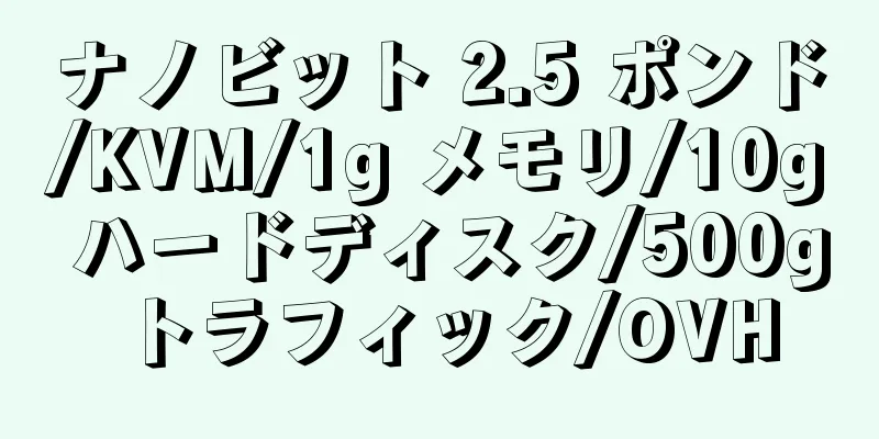 ナノビット 2.5 ポンド/KVM/1g メモリ/10g ハードディスク/500g トラフィック/OVH